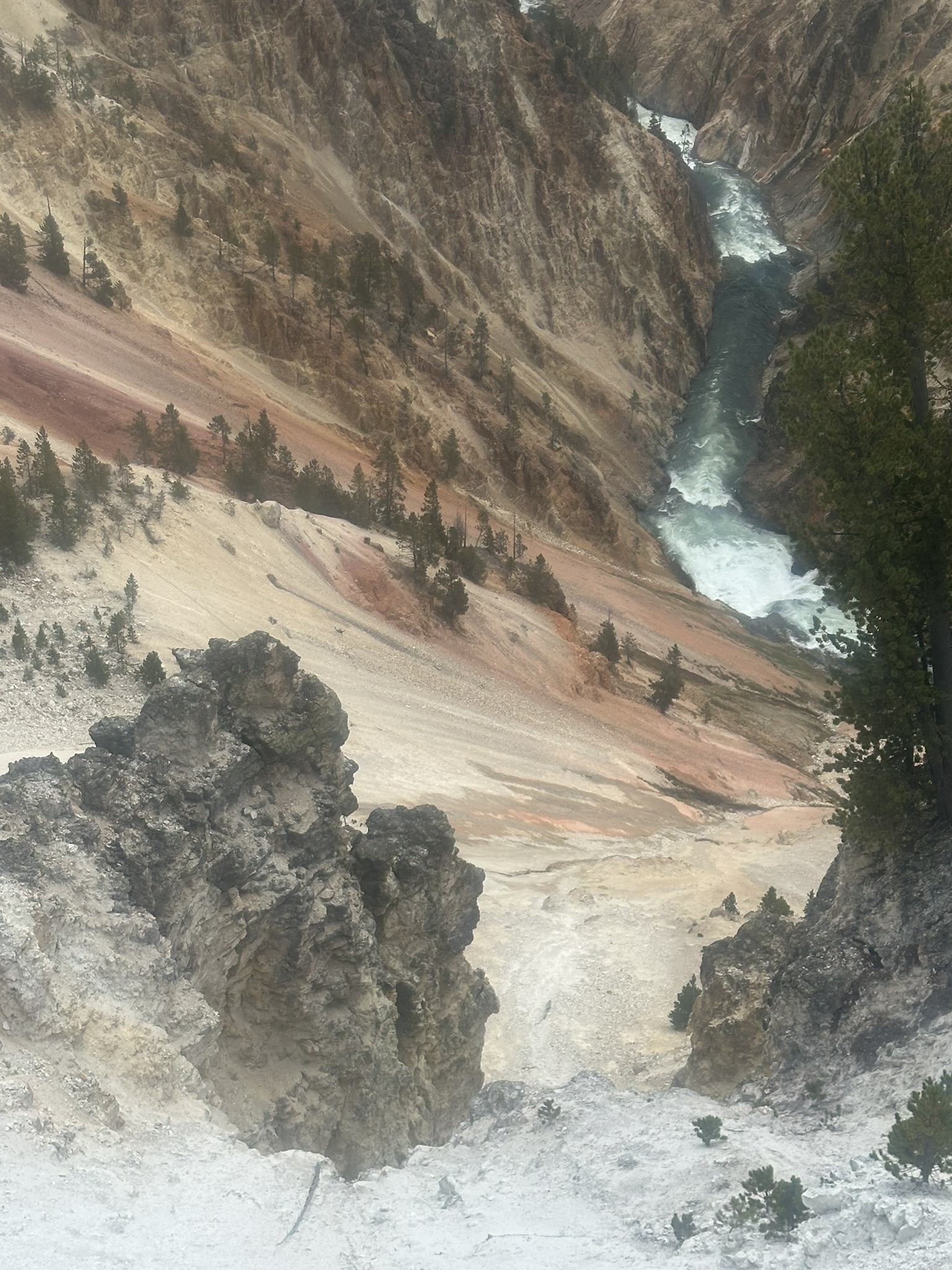 Yellowstone And Grand Teton National Parks - Image 640